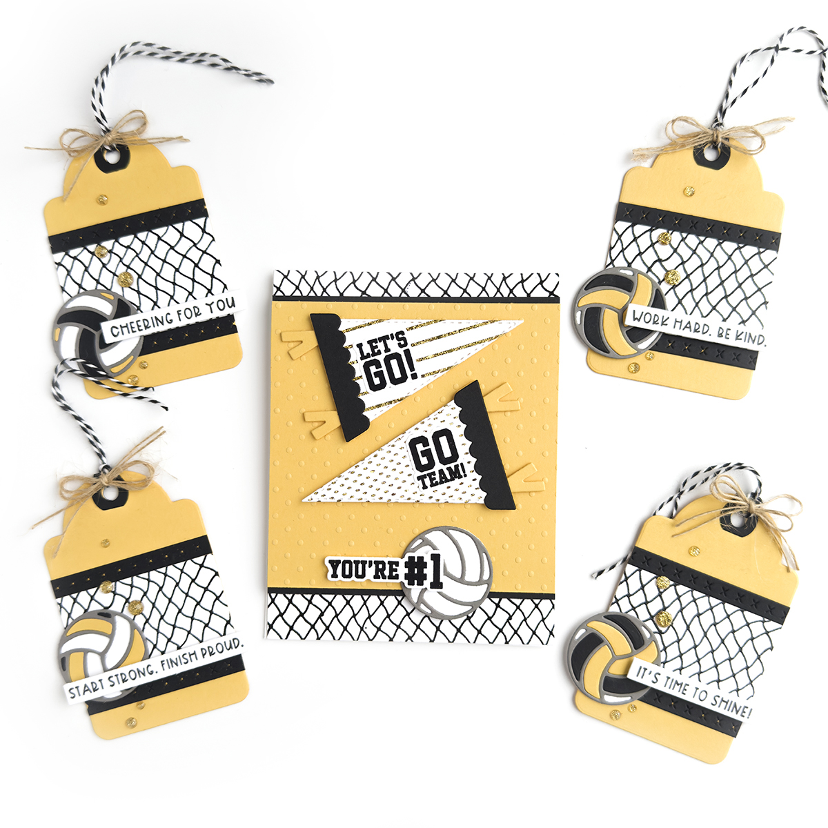 TE – Nothing but Net