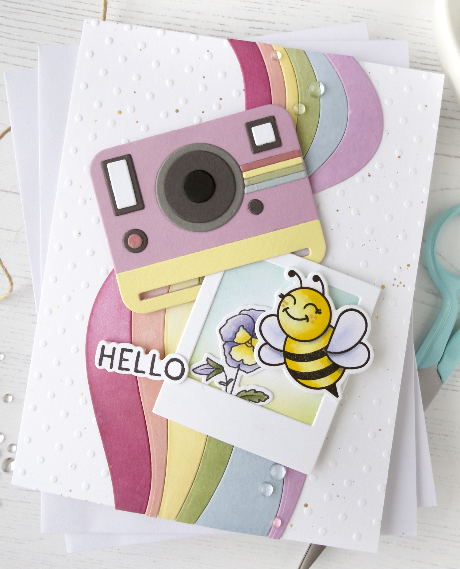 A photo of a handmade card with a vintage camera on the front and a photo with a bee and flower. The card sentiment says "Hello".